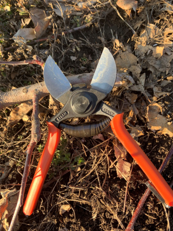 Секатор LISAM 3/A